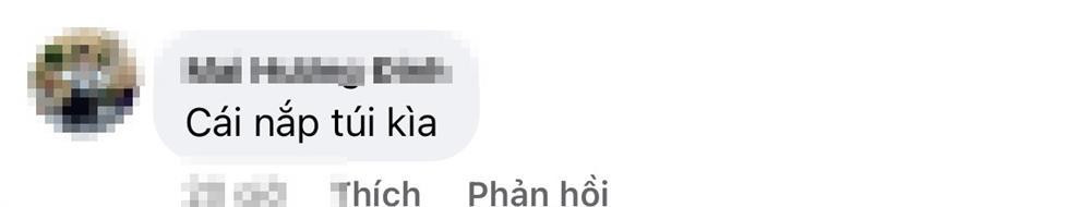 Huong Giang cam tui 600 trieu 'moi trom xoi' khien fan lo nom nop-Hinh-7