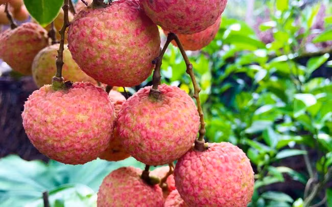 An vai rat nong nhung ket hop cung thu nay se giai nhiet, min da-Hinh-2