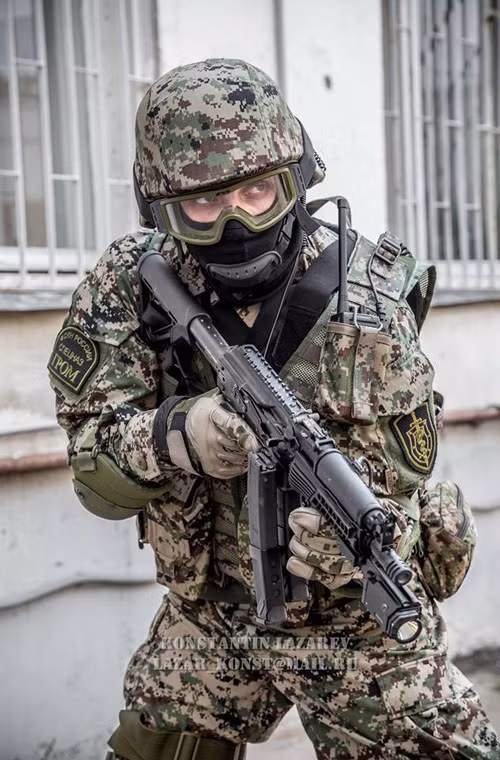 Trên nắp hộp khóa nòng có các giá picantini để gắn các thiết bị ngắm quang học hoặc lade điểm đỏ.