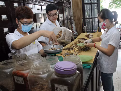 Thuốc Đông y gồm 3 nguồn: Thuốc lấy từ động vật, khoáng vật và thực vật.