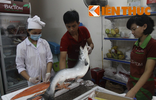 Thực tế, cá hồi Na Uy được nhiều người yêu thích mặc dù nó có giá cao hơn so với cá hồi Sa Pa của Việt Nam. Cá hồi Na Uy không chỉ có trọng lượng lớn mà thịt chắc và thơm ngon hơn.