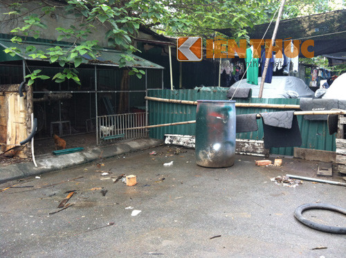 Không chỉ rửa xe, họ còn nuôi cả chuồng nuôi gà trên vỉa hè.