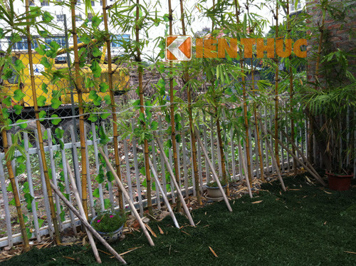 Tường rào là lưới mắt cáo với cây xanh và dây leo giả. Người ta có thể dễ dàng nhìn thấy phía sau quán vẫn còn là nơi tập kết các loại máy móc và giàn giáo của dự án.