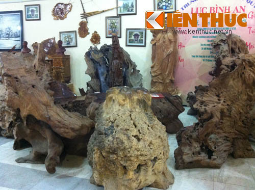 Đây là bộ bàn ghế làm bằng loại gỗ lũa lâu năm, được tạo dáng tự nhiện có giá gần 200 triệu đồng.