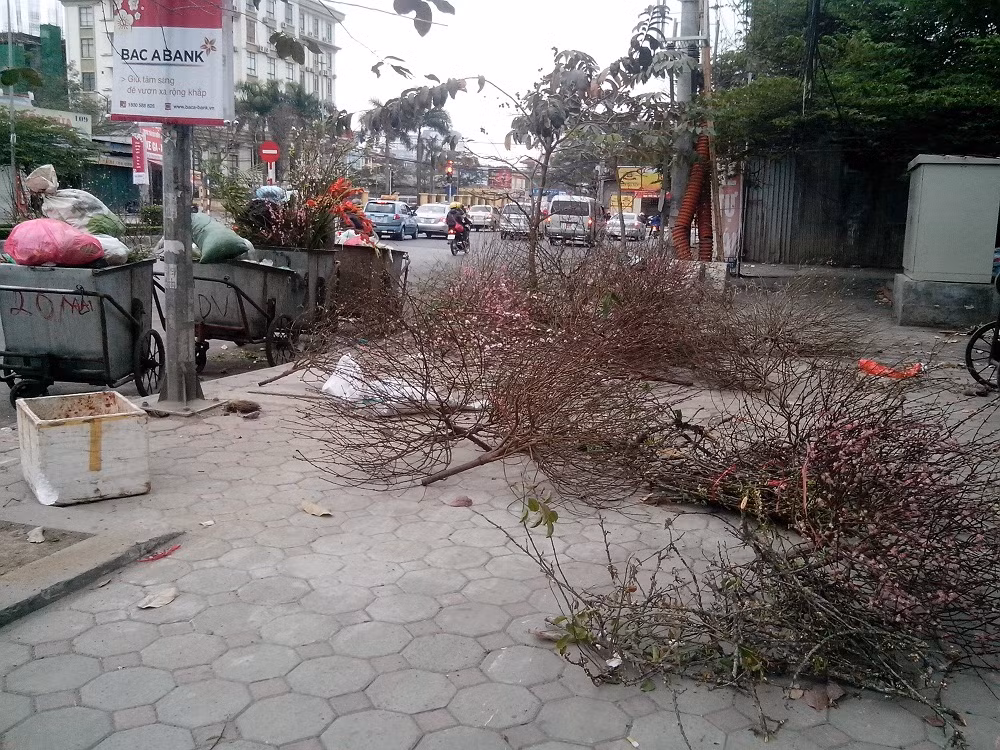 Do số lượng đào bị vứt rất lớn nên nhiều người vô gia cư, nhất là ở khu vực chân đường Bưởi, gầm cầu Mai Dịch... tranh thủ thu gom những cành đào lớn để làm chất đốt; vì theo họ, đây là loại cây tự nhiên, không độc hại như nilon và nhựa, hơn nữa lại không mất tiền mua nên phải tận dụng.