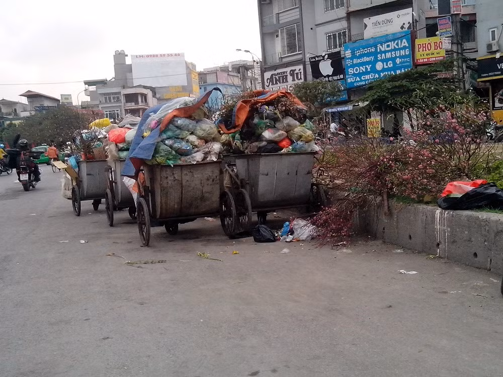 Theo đánh giá của nhiều công nhân vệ sinh môi trường, đào năm nay bị vứt bỏ sớm và nhiều hơn những năm trước.