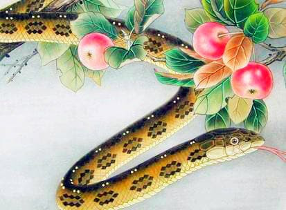 Vận mệnh ở chân trước giống như cầu vồng, chân sau nhất định giàu có, lập công lớn, nhiệt huyết tràn đầy, hào phóng nhân ái, học thức phong phú.