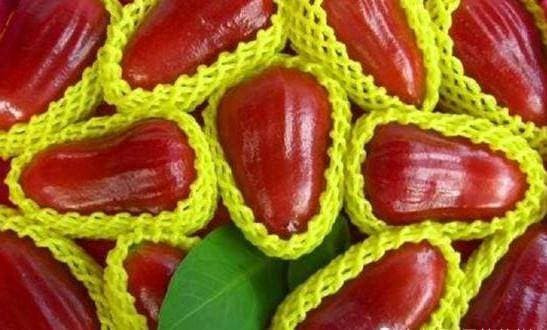 2. Giảm chứng khó tiêu ở trẻ em. Trẻ dễ bị tích thức ăn, khó tiêu. Trong trường hợp này, bạn có thể dùng roi với chút muối để hỗ trợ tiêu hóa.