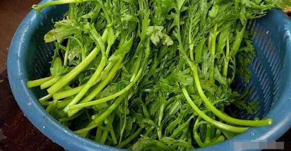 Loai nuoc co the gay ung thu, mot so nguoi van uong hang ngay-Hinh-9