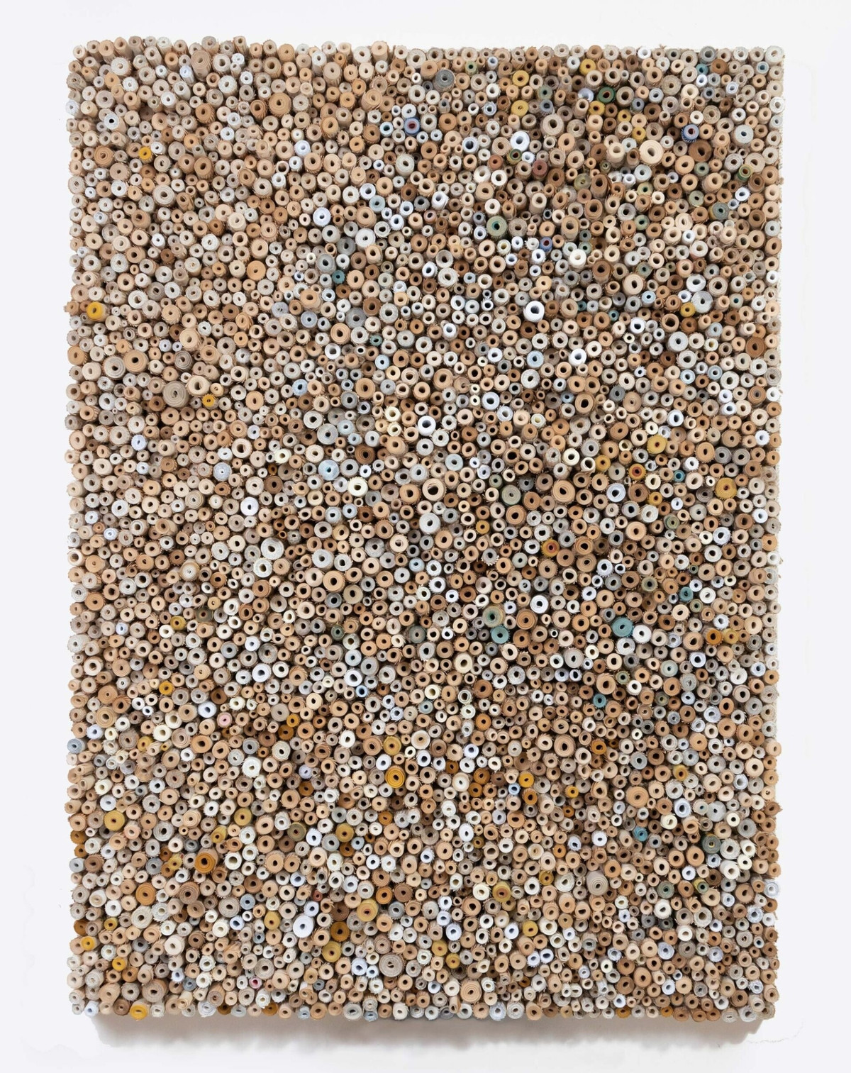 Hoi sinh nhung cuon sach bi bo roi thanh tac pham nghe thuat-Hinh-10