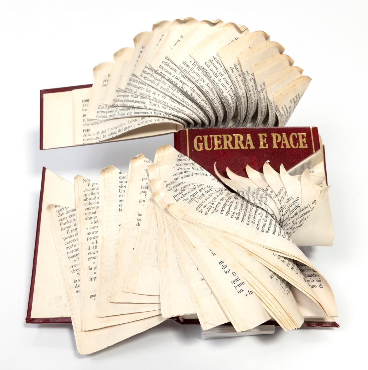 Hoi sinh nhung cuon sach bi bo roi thanh tac pham nghe thuat-Hinh-9