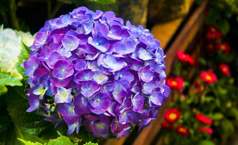 3 con giáp chậm mà chắc, cuối tháng 5 có quý nhân phù trợ - Hình 2 3 con giap cham ma chac, cuoi thang 5 co quy nhan phu tro-Hinh-2