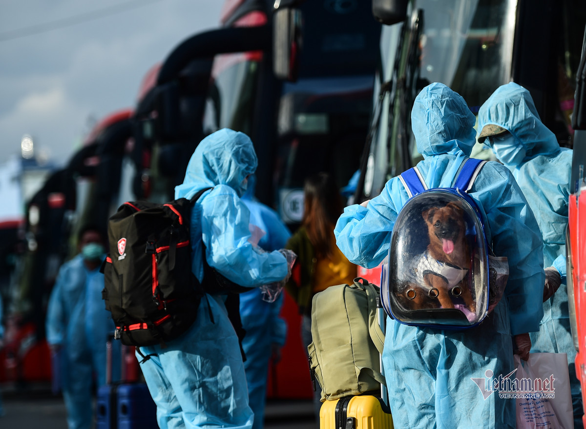 Một cô gái mang theo chú chó lên xe về quê.