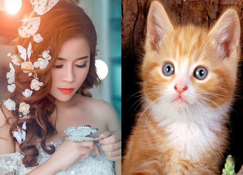 3 con giap duoc Ngoc Hoang mo hau bao sung ai, tien bac cham dinh