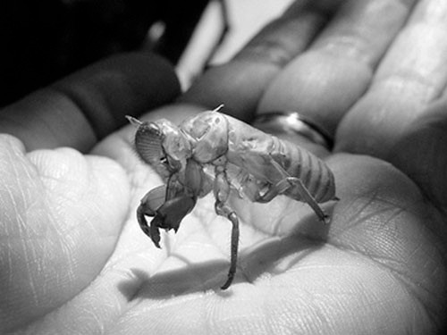 Nhung vi thuoc gay nguy hiẻm cho phu nu co thai