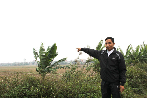 Cánh đồng Chiếu, xưa kia vua ban cho cụ Đạt.