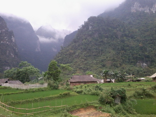 Nhiều người cho rằng, ở các ngọn núi cao có tồn tại huyết khỉ khô.