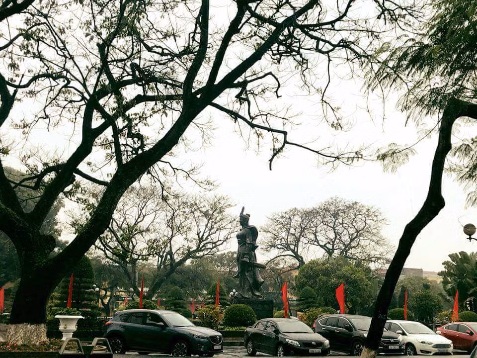 Xe ô tô cắm đầu vào phía trong công viên