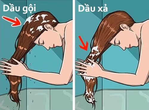 Nhớ thoa dầu gội lên chân tóc và dầu xả lên đuôi tóc bạn nhé.