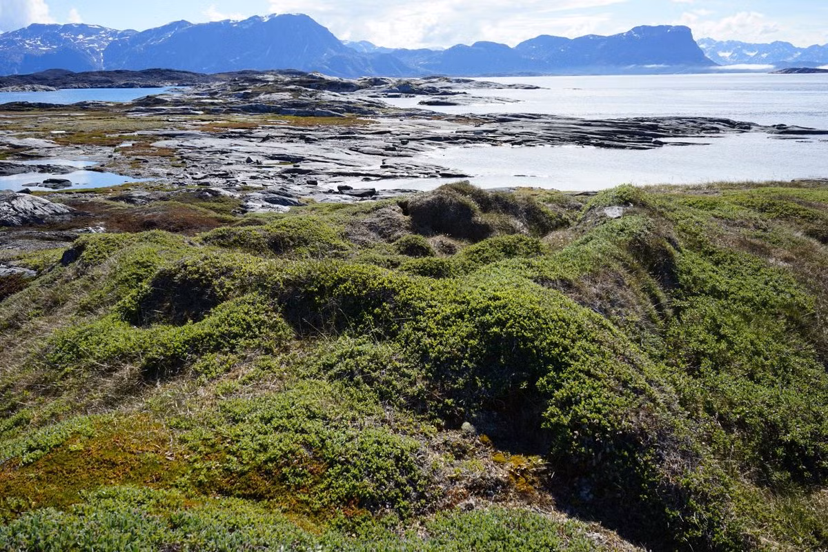  Cảnh quan Aasivissuit (Đan Mạch). Aasivissuit là khu vực săn bắn truyền thống, lưu giữ những giá trị văn hóa đặc sắc của người Inuit trên đảo Greenland của Đan Mạch. Đây có thể sẽ là một trong các Di sản thế giới được công nhận năm 2018. Ảnh: Kulturministeriet.