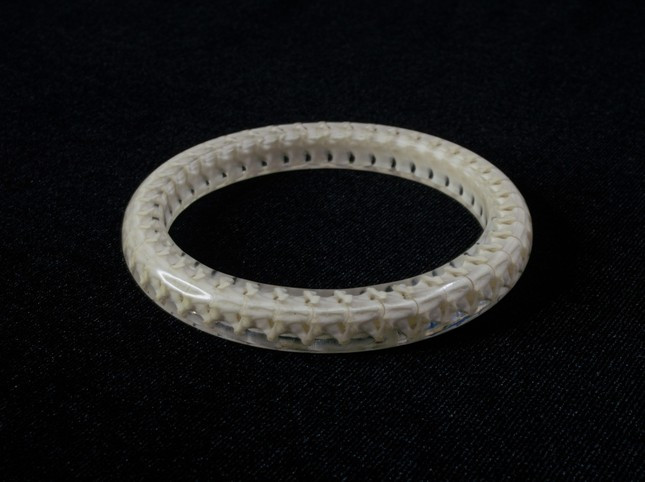 Chang trai 21 tuoi o mien Tay lam trang suc doc dao tu xuong ran-Hinh-2