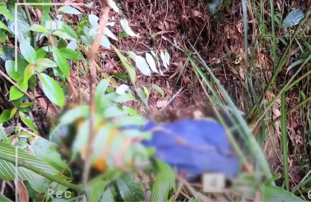 Hanh trinh pha an: Giet thay cung va ke hoach tan doc cua 3 ke thu ac