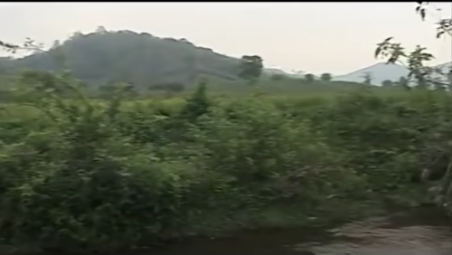 Theo thông tin điều tra ban đầu, trong buổi sáng 15/12/2012, chị HSoch (dì ruột của HQuyên) và anh Y Doch (cậu ruột) đi vét hố cà phê trong vườn gần nhà. Lúc này, ngoài cháu HQuyên còn có 2 cháu khác đang chơi. Khoảng 10h sáng cùng ngày, anh Y Doch phát hiện gần đó có nhiều nhộng ve sầu nên rủ 3 cháu nhỏ cùng đi nhặt nhộng để nấu ăn.