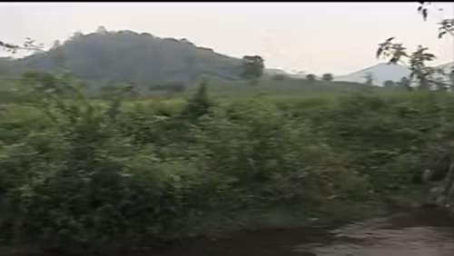 Theo thông tin điều tra ban đầu, trong buổi sáng 15/12/2012, chị HSoch (dì ruột của HQuyên) và anh Y Doch (cậu ruột) đi vét hố cà phê trong vườn gần nhà. Lúc này, ngoài cháu HQuyên còn có 2 cháu khác đang chơi. Khoảng 10h sáng cùng ngày, anh Y Doch phát hiện gần đó có nhiều nhộng ve sầu nên rủ 3 cháu nhỏ cùng đi nhặt nhộng để nấu ăn.