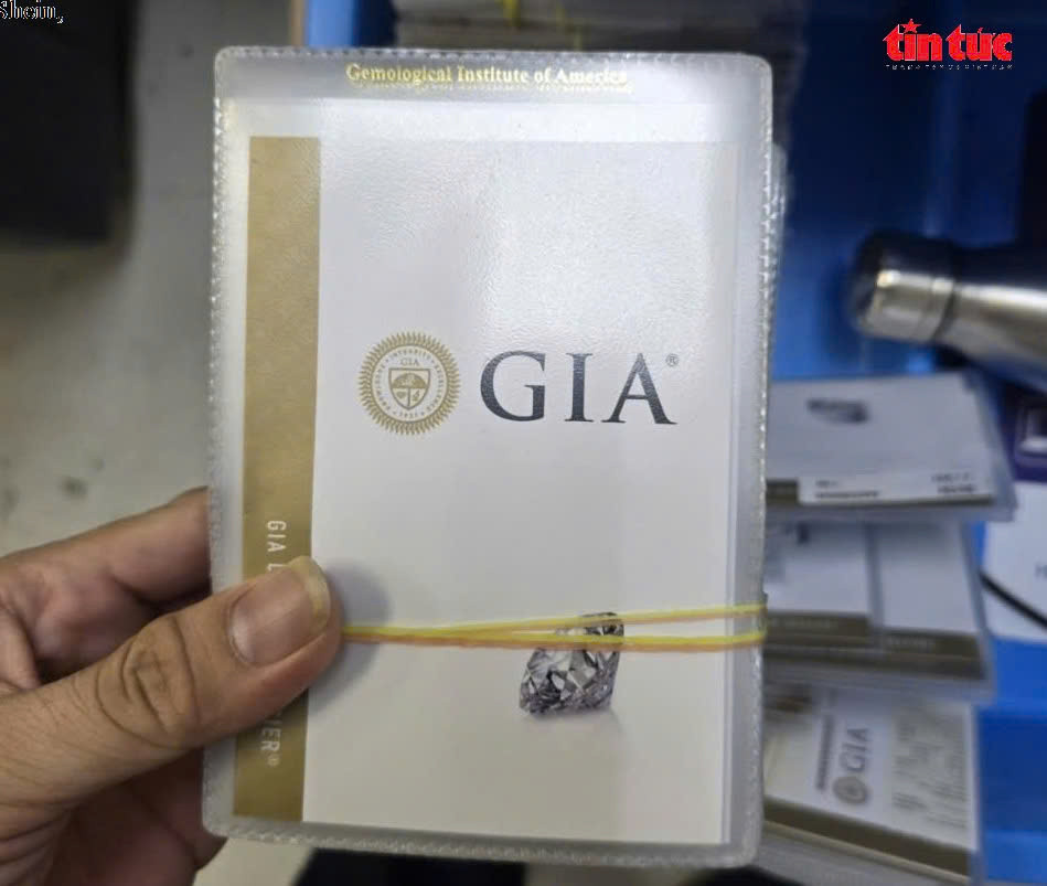 Trước đó ngày 23/10, qua thông tin của Chi cục Hải quan cửa khẩu sân bay quốc tế Tân Sơn Nhất và Phòng Cảnh sát kinh tế, Công an TP HCM, qua hình ảnh soi chiếu Đội Thủ tục hành lý nhập khẩu, Chi cục Hải quan sân bay quốc tế Tân Sơn Nhất phát hiện hình ảnh nghi vấn từ kiện hành lý của ông P.S.H (quốc tịch Ấn Độ) nhập cảnh từ Ấn Độ vào Việt Nam.