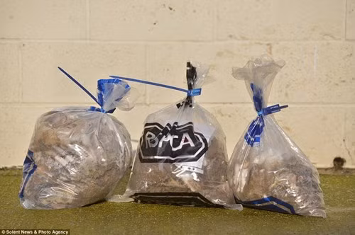 Sau khi được đưa đến trung tâm cứu hộ, các nhân viên ở đây đã mất khoảng 3 tiếng đồng hồ để cắt bỏ bộ lông bẩn, nặng, bết đất của hai chú chó này.