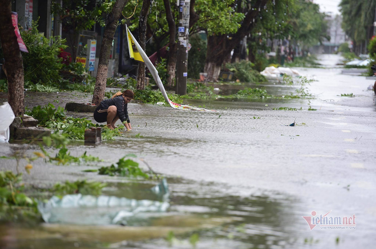 Bão mạnh cũng làm 7 trụ sở cơ quan bị tốc mái, một trạm BTS thu phát sóng viễn thông của Vinaphone ở xã Phổ Khánh, thị xã Đức Phổ bị đổ ngã.