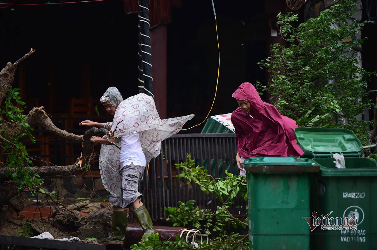 Đến đầu giờ chiều, khi mưa đã tạnh, gió đã lặng hẳn thì những người dân TP Quảng Ngãi bắt đầu dọn dẹp đống đổ nát. Đến thời điểm hiện tại, Quảng Ngãi chưa có thiệt hại về người do bão số 9 gây ra.