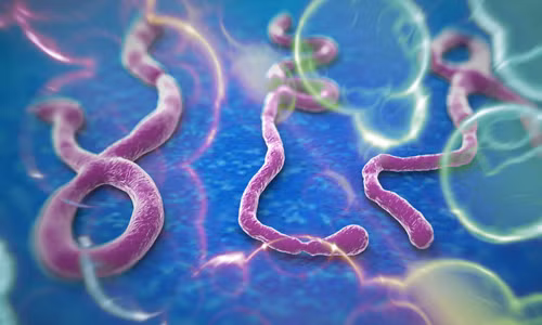 Nhân viên y tế dương tính với vi rút từng tham gia chăm sóc bệnh nhân nhiễm Ebola đầu tiên được phát hiện tại Mỹ.