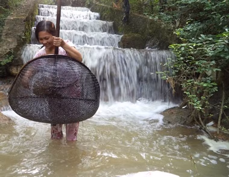 Do chỉ bằng ngón tay út nên khó có thể “xử tử” từng con. Rất sáng tạo, lúc này các bà nội trợ dùng một mũi dao nhọn gẩy nhẹ vào bụng là toàn bộ phần lòng ruột của nòng nọc nhanh chóng trôi ra ngoài.