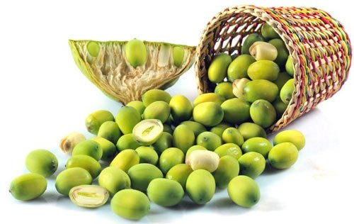 Hạt sen. Theo Đông y, hạt sen tính bằng, vị ngọt, có tác dụng dưỡng tim, ích thận, khỏe tỳ. Những người bị ung thư hoặc vừa hóa trị, xạ trị xong cơ thể đang yếu nên thường xuyên ăn loại hạt này bởi hạt sen chứa một loại chất đặc biệt có tác dụng khống chế ung thư mũi, họng, ung thư tử cung.