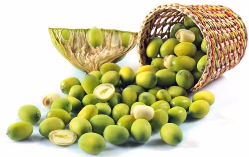 Hạt sen. Theo Đông y, hạt sen tính bằng, vị ngọt, có tác dụng dưỡng tim, ích thận, khỏe tỳ. Những người bị ung thư hoặc vừa hóa trị, xạ trị xong cơ thể đang yếu nên thường xuyên ăn loại hạt này bởi hạt sen chứa một loại chất đặc biệt có tác dụng khống chế ung thư mũi, họng, ung thư tử cung.