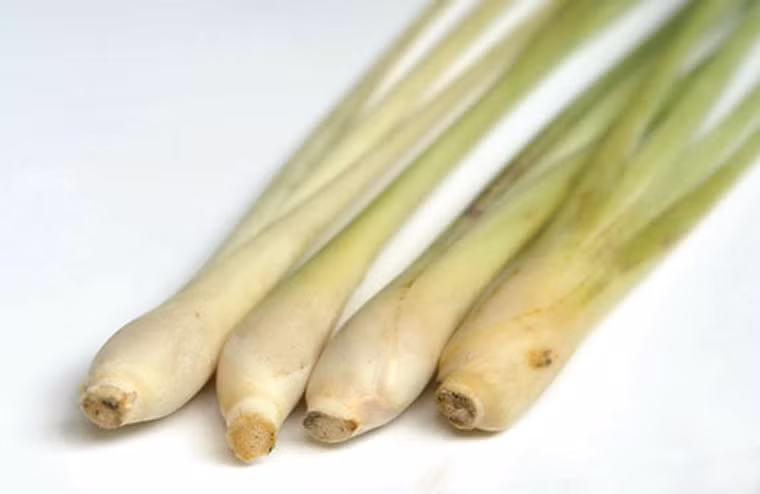 Với ốc. Khi luộc, bạn có thể cho thêm chút lá ổi, lá chanh, củ sả đập dập hoặc vài lát ớt thái nhỏ cũng góp phần mang lại món ốc tuyệt ngon.