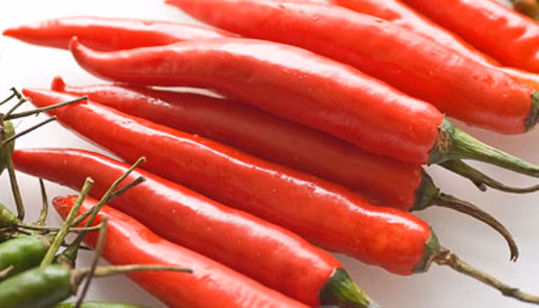 Tận dụng ớt làm thuốc diệt sâu bọ cho cây. Lạm dụng thuốc trừ sâu sẵn có trên thị trường vừa tốn kém vừa không an toàn cho sức khỏe. Thay vào đó, bạn có thể tận dụng khả năng diệt sâu bọ từ trái ớt. Đầu tiên, nghiền nát 6 – 10 quả bằng máy sinh tố, ngâm bột ớt qua đêm, lọc kỹ rồi pha thêm với 1 lít nước và phun cho cây.