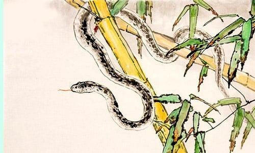 Không chỉ vậy, trong 3 năm tới, những người tuổi Tý cũng có cơ hội thực hiện được lý tưởng của mình. Những điều may mắn và giàu có đến trong 3 năm tới có lẽ người tuổi Tỵ cũng chưa từng nghĩ đến. 