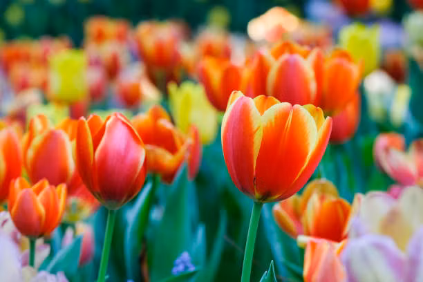 Sinh vao 5 ngay nay, phuc khi sau day, nam 2023 phat tai loc-Hinh-2