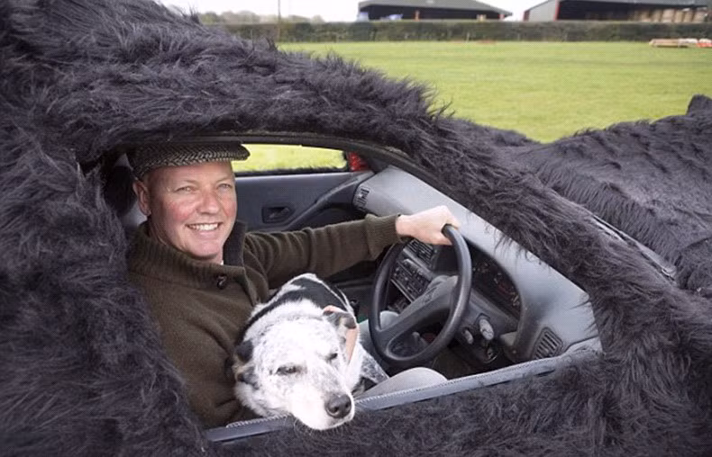 Isaac, 46 tuổi đã chi 2.000 bảng Anh để độ lại chiếc xe với bề ngoài bọc lông giống với những chú chó dòng Shepherd. Xe hình chú chó có tốc độ tối đa 64 km/h.