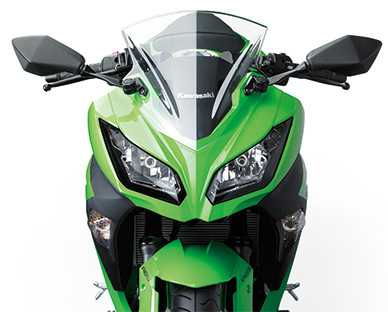 Các đặc điểm kỹ thuật của Z300 được cho là hoàn toàn giống với Ninja 300. Tuy nhiên, Kawasaki khẳng định, Z300 sử dụng động cơ phân khối lớn hơn nhiều so với "người anh em" cũ.