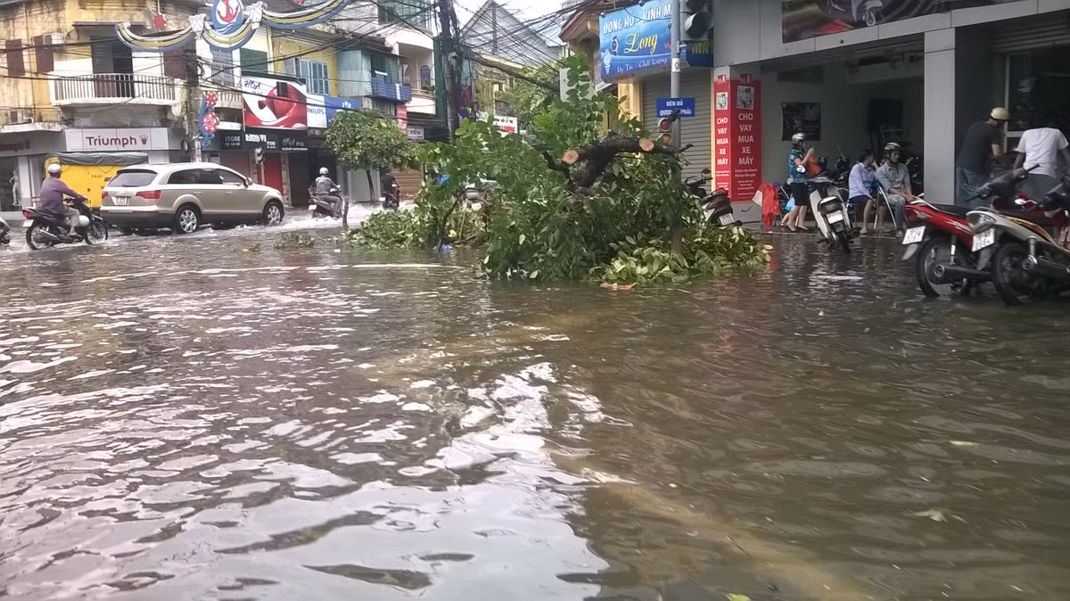 Cây cối trên một số tuyến phố bị đổ do bão.