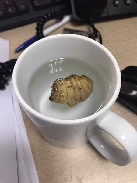 Nhin vo buon tay pha coc chanh gung, chong xin the bo nhau nhet-Hinh-2