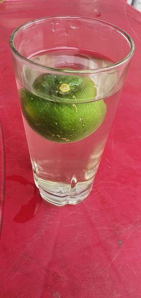 Nhìn vợ buồn tay pha cốc chanh gừng, chồng xin thề bỏ nhậu nhẹt - Hình 3 Nhin vo buon tay pha coc chanh gung, chong xin the bo nhau nhet-Hinh-3