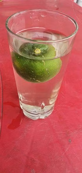 Nhin vo buon tay pha coc chanh gung, chong xin the bo nhau nhet-Hinh-3