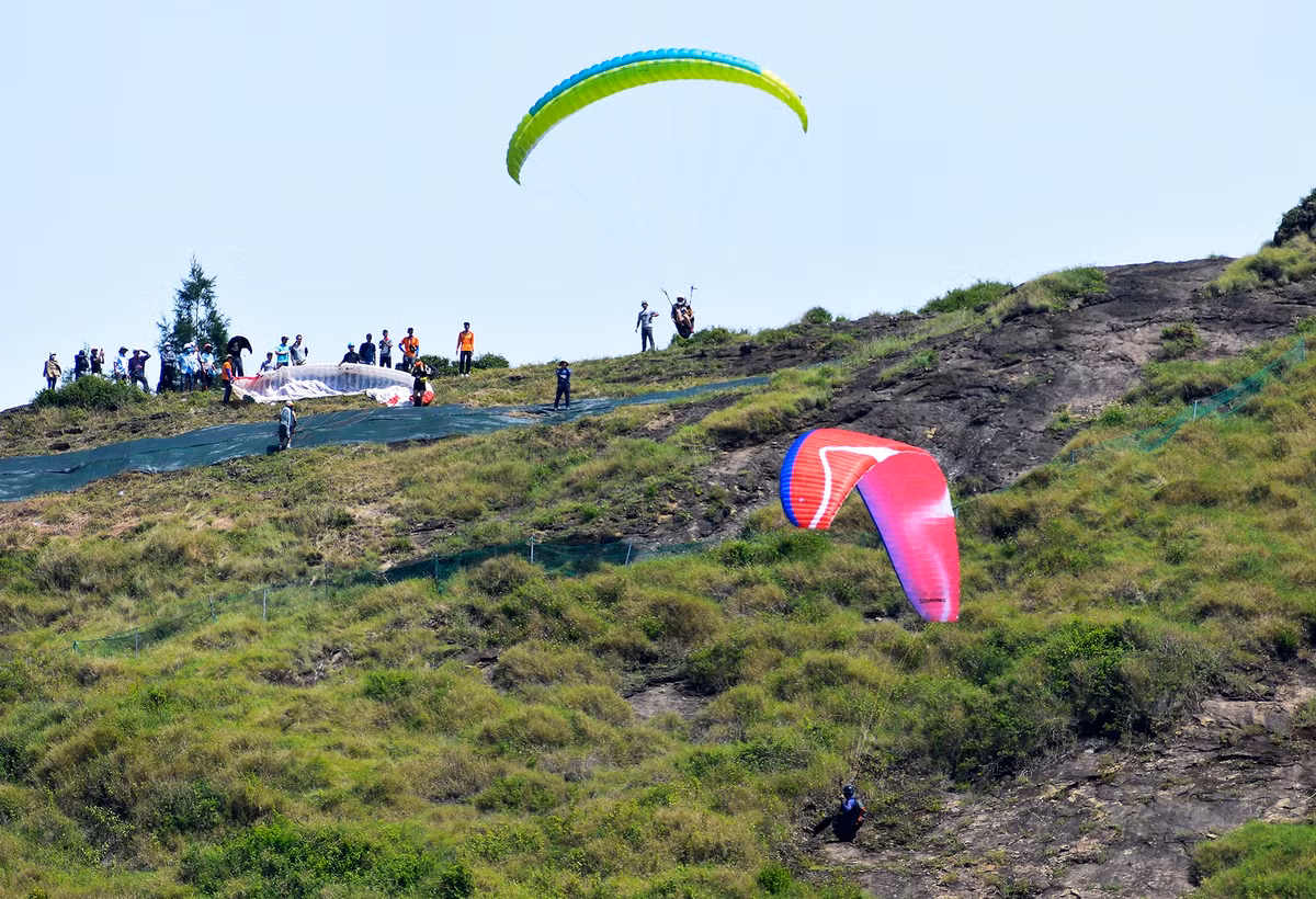 Hang nghin du khach den Ly Son xem du luon-Hinh-2