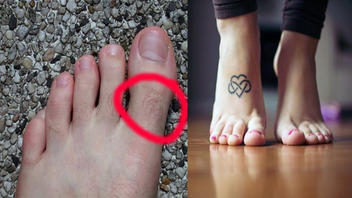 Họ là những người có vận khí tốt, rất giỏi kiếm tiền. Ngoài ra, những người có lông mọc trên ngón chân còn được quý nhân phù trợ, từ đó không khác gì “hổ mọc thêm cánh”, giúp con đường sự nghiệp luôn hanh thông, cơ hội thăng tiến không ngừng, tiền tài có “đuổi đi” cũng không được.