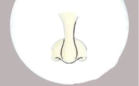 3 kiểu mũi xấu nhưng là tướng vượng phu, thu tài lộc: Chị em đừng dại sửa - Hình 2 3 kieu mui xau nhung la tuong vuong phu, thu tai loc: Chi em dung dai sua-Hinh-2