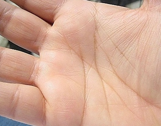 Đặc điểm của đường chỉ tay giàu sang, vận mệnh hơn người, giàu có - Hình 3 Dac diem cua duong chi tay giau sang, van menh hon nguoi, giau co-Hinh-3